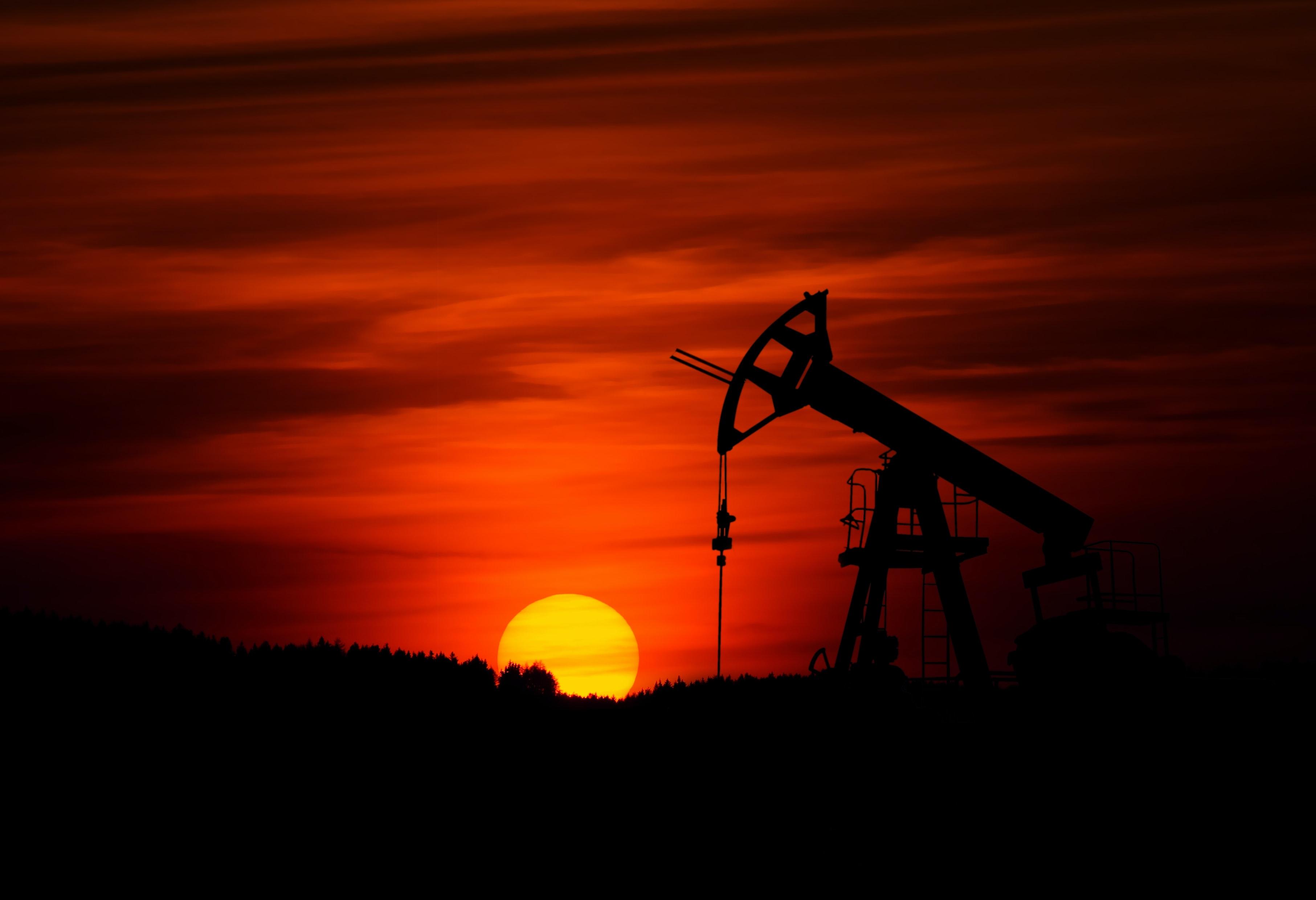 PetroDynamics industrial energy plant